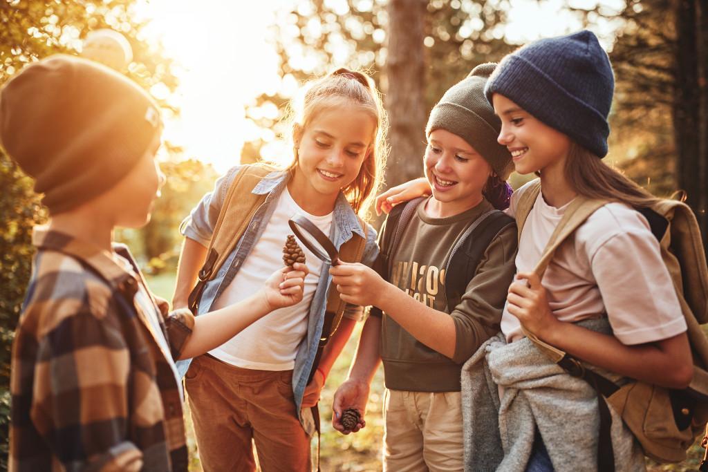 Mögliche Themen für Beratungen und Workshops